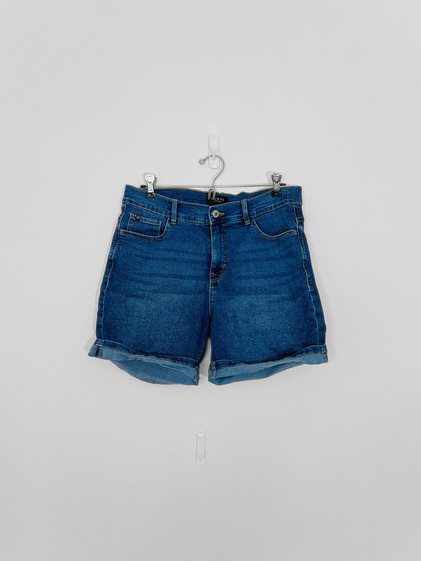 Blue Jean Shorts (Size 10)