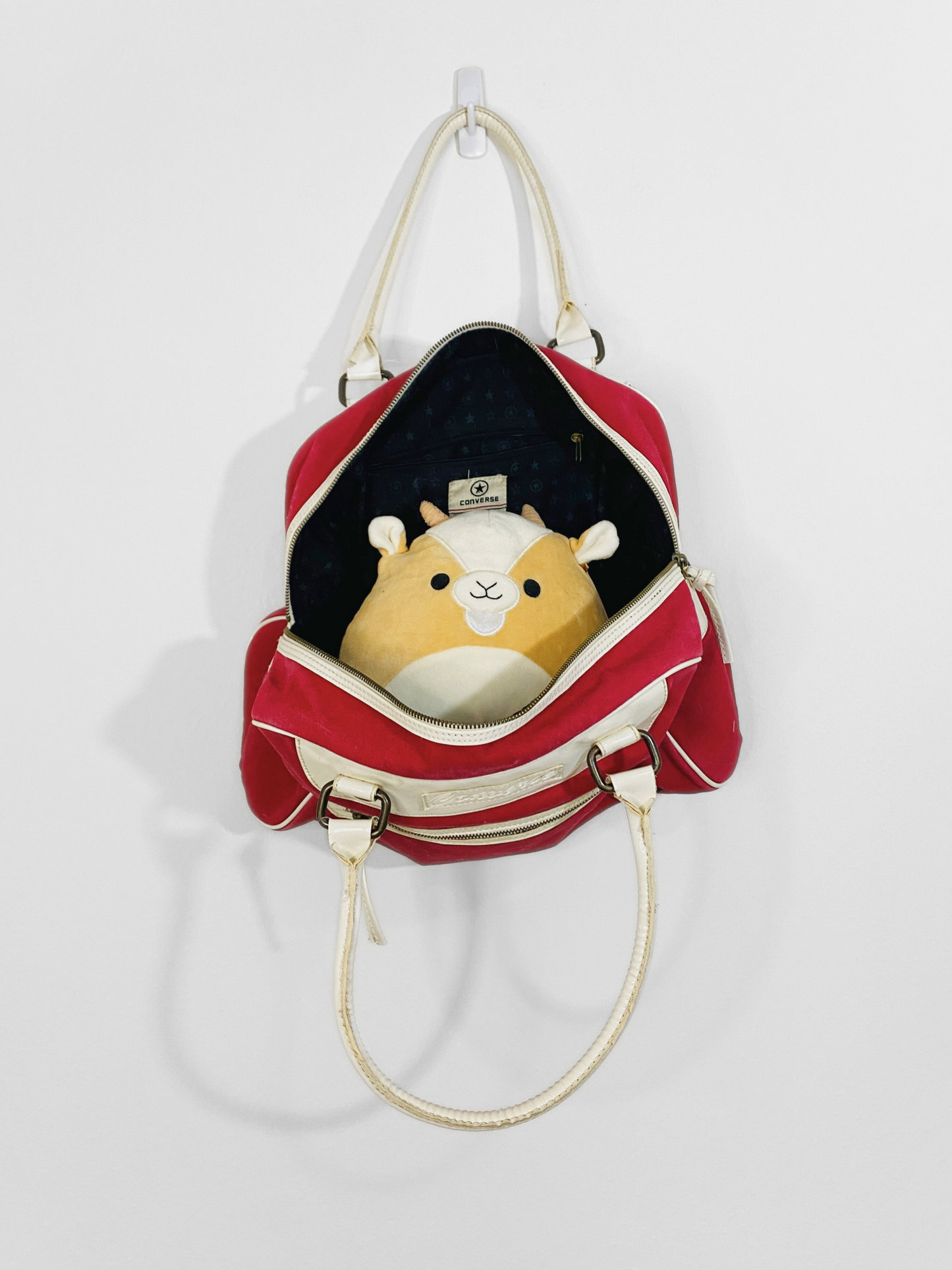 Bowling Bag