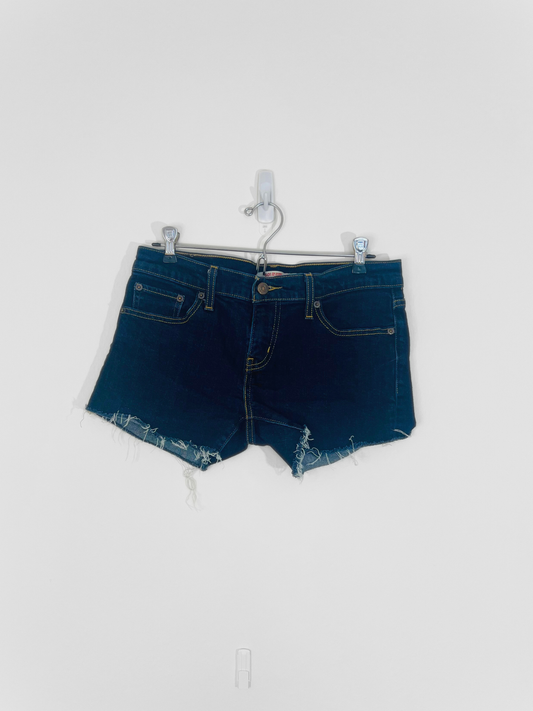 Denim Cutoff shorts (Size 29)