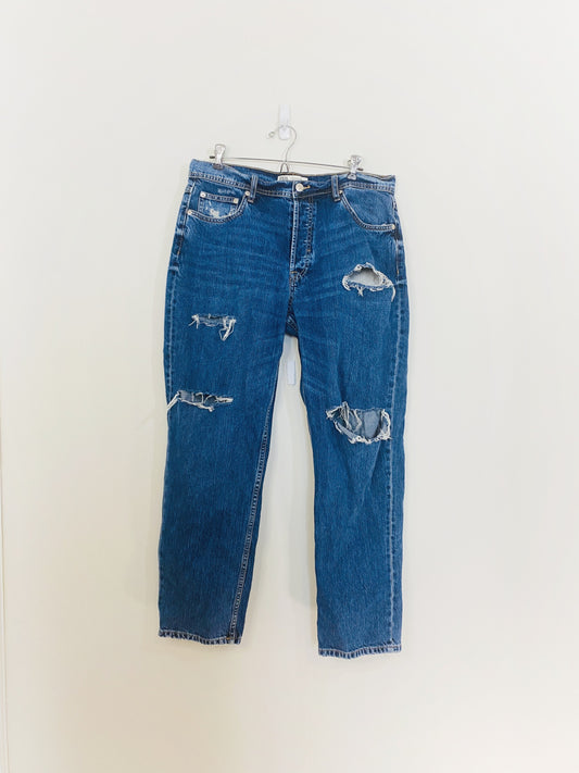 Distressed Blue Jeans (34W)